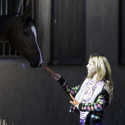 Culbreth Equine - 8th Annual Farm Tour