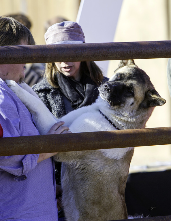 Culbreth Equine - 8th Annual Farm Tour