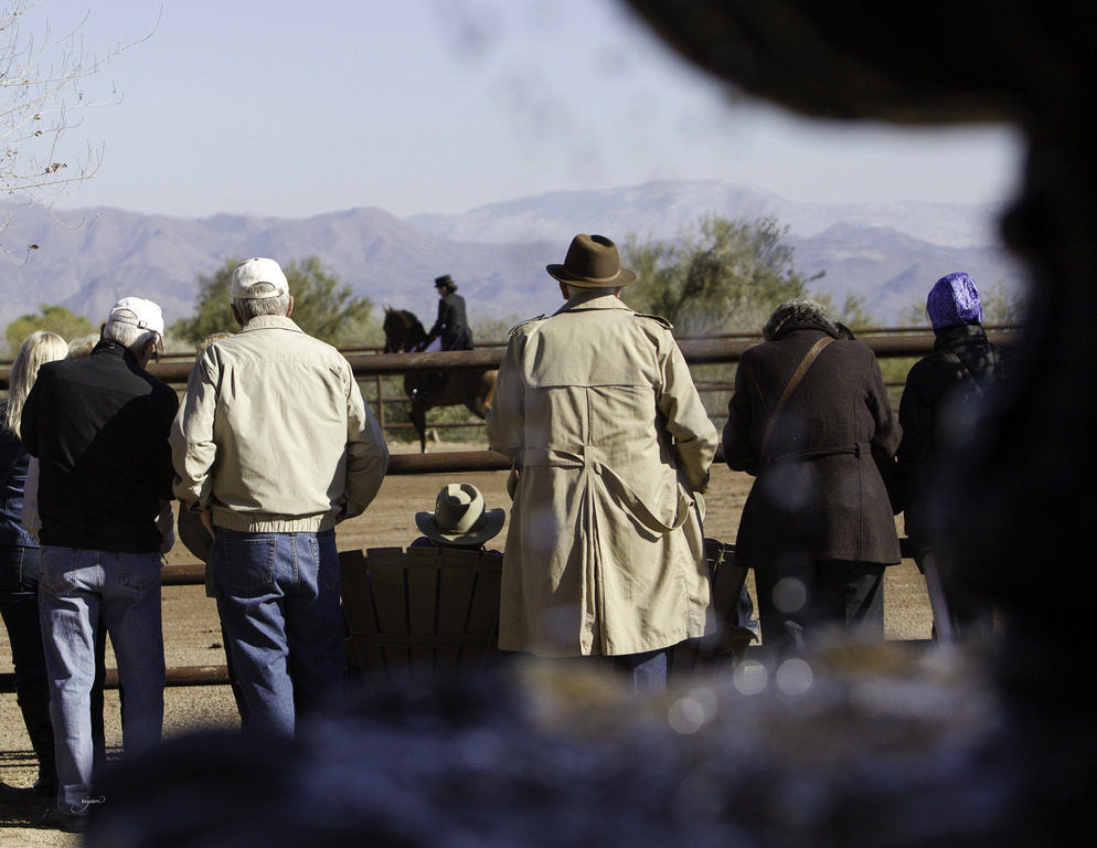 Culbreth Equine - 8th Annual Farm Tour
