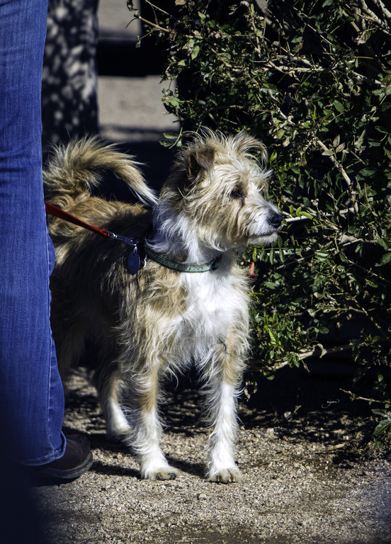 Culbreth Equine - 8th Annual Farm Tour