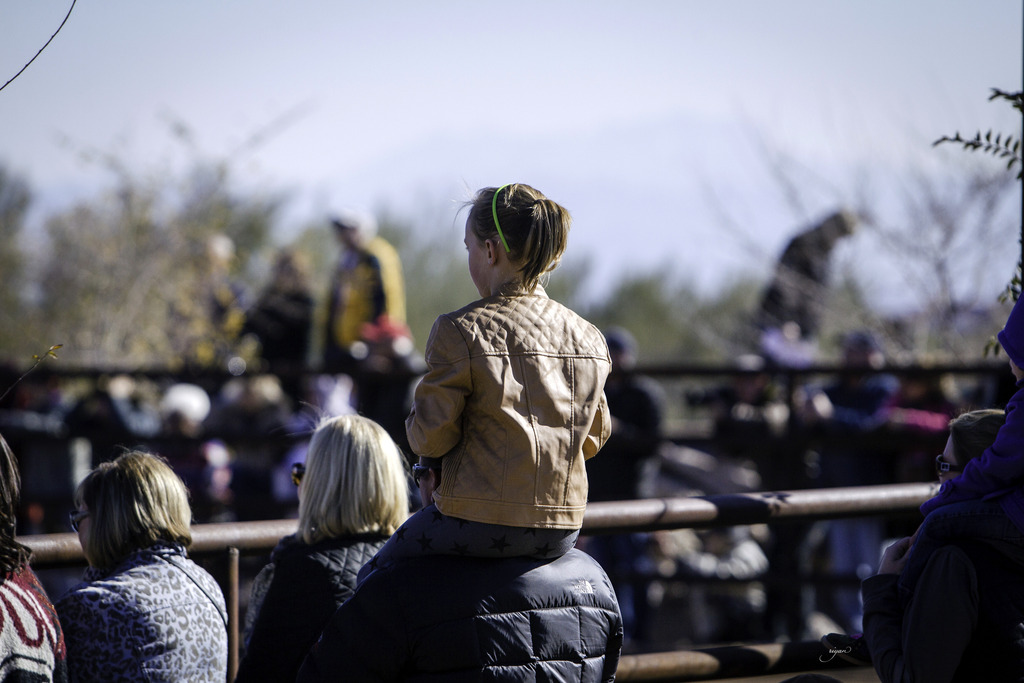 Culbreth Equine - 8th Annual Farm Tour