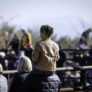 Culbreth Equine - 8th Annual Farm Tour