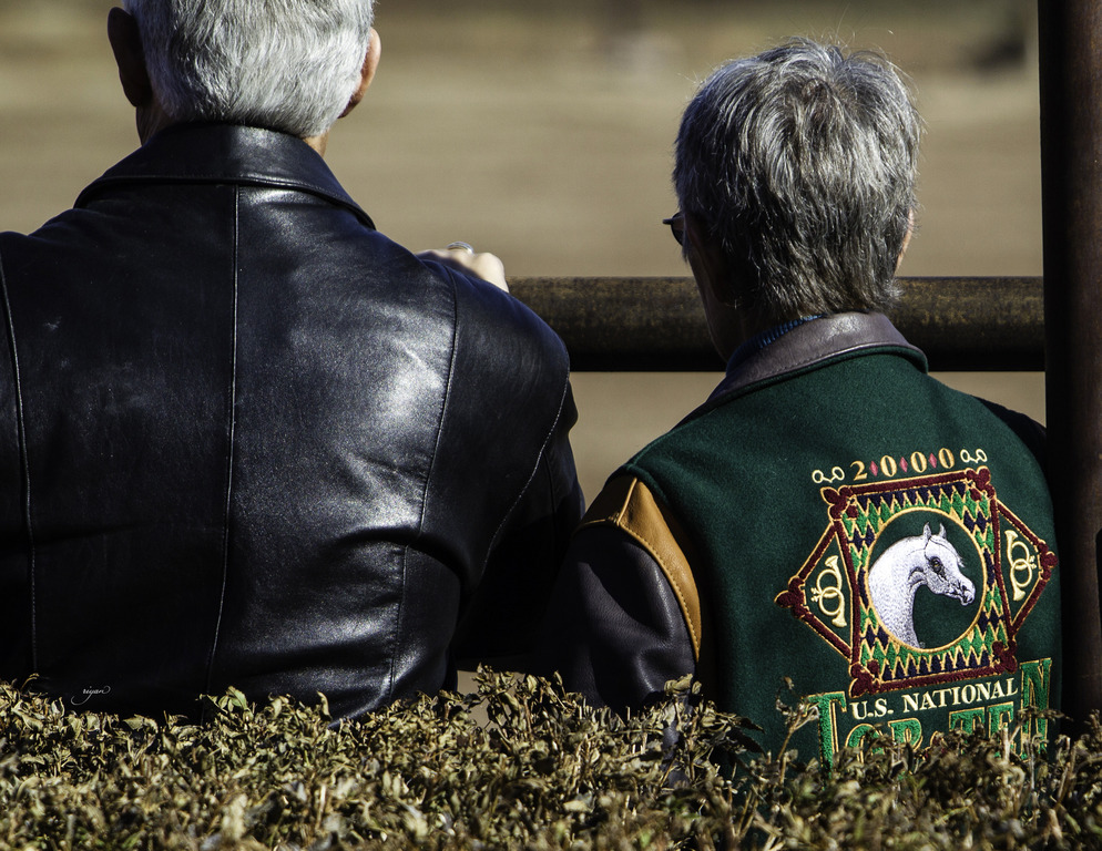 Culbreth Equine - 8th Annual Farm Tour