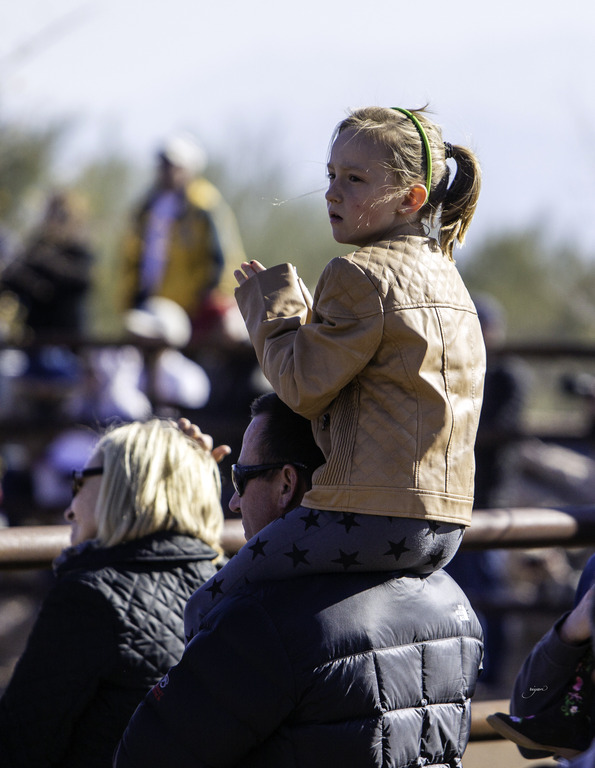 Culbreth Equine - 8th Annual Farm Tour