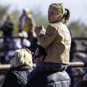 Culbreth Equine - 8th Annual Farm Tour