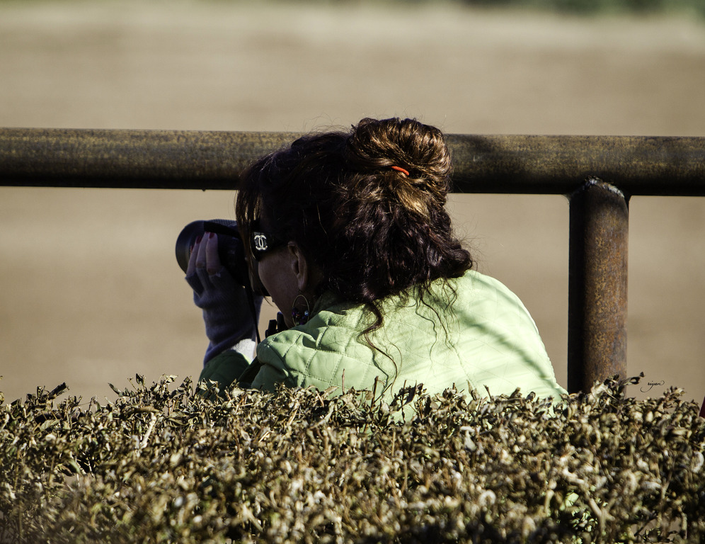 Culbreth Equine - 8th Annual Farm Tour
