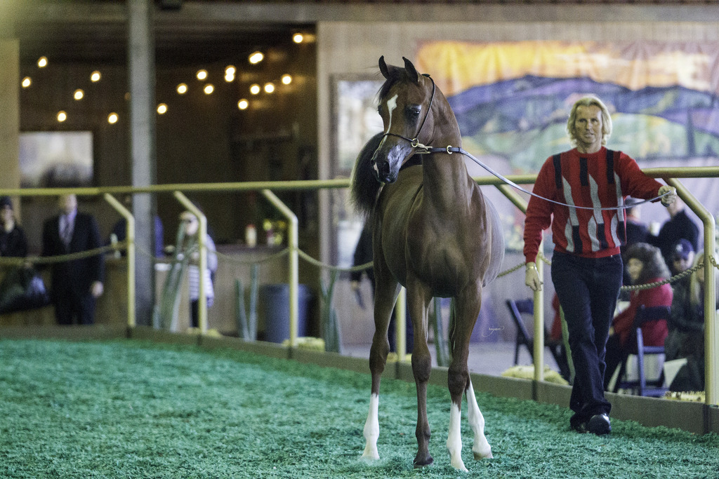 Gemini Acres - 8th Annual Farm Tour
