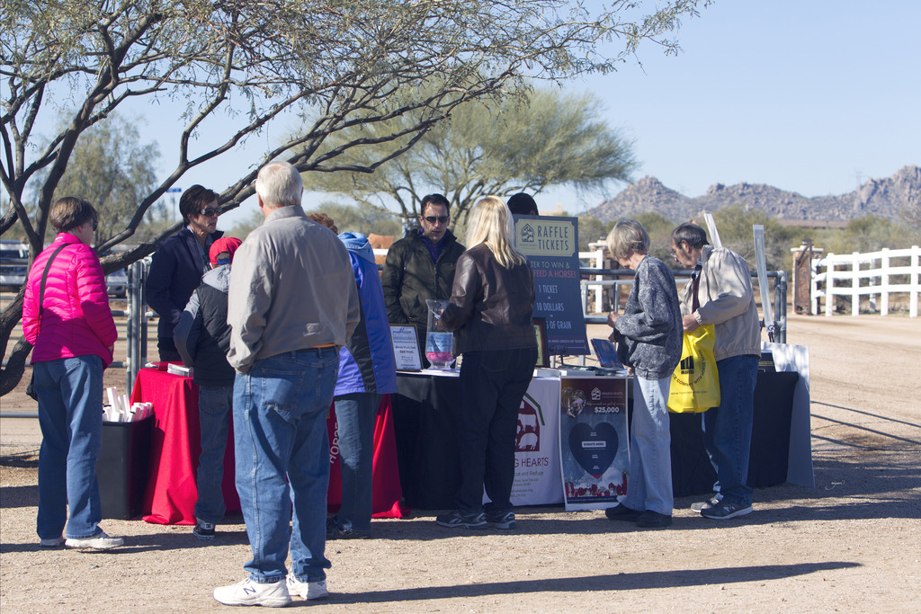 Laurie Martin Performance Horses - 8th Annual Farm Tour