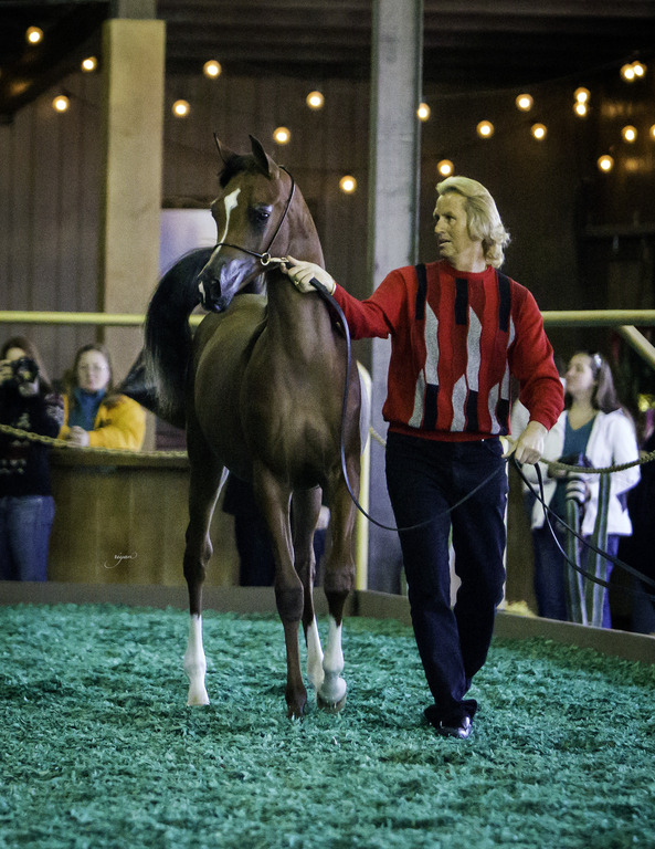 Gemini Acres - 8th Annual Farm Tour