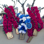 Laurie Martin Performance Horses - 8th Annual Farm Tour