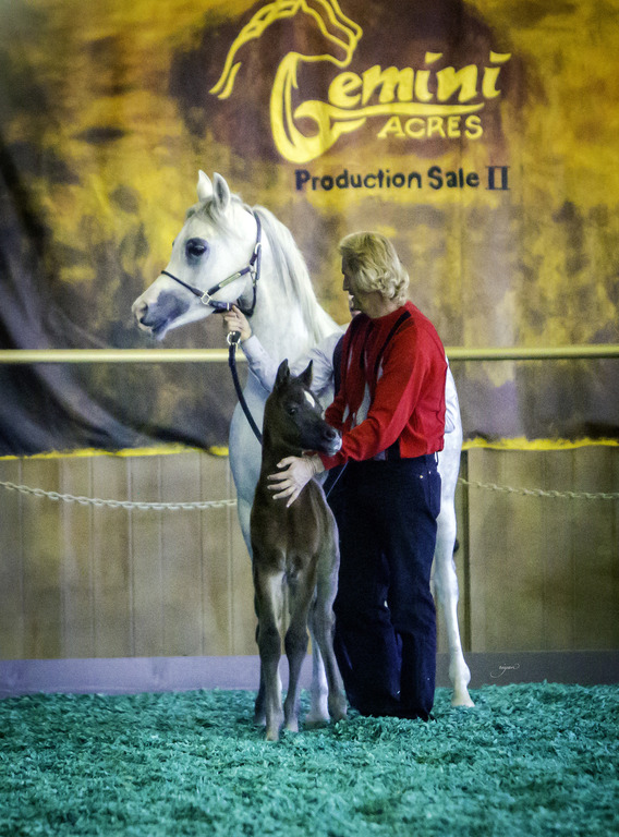 Gemini Acres - 8th Annual Farm Tour