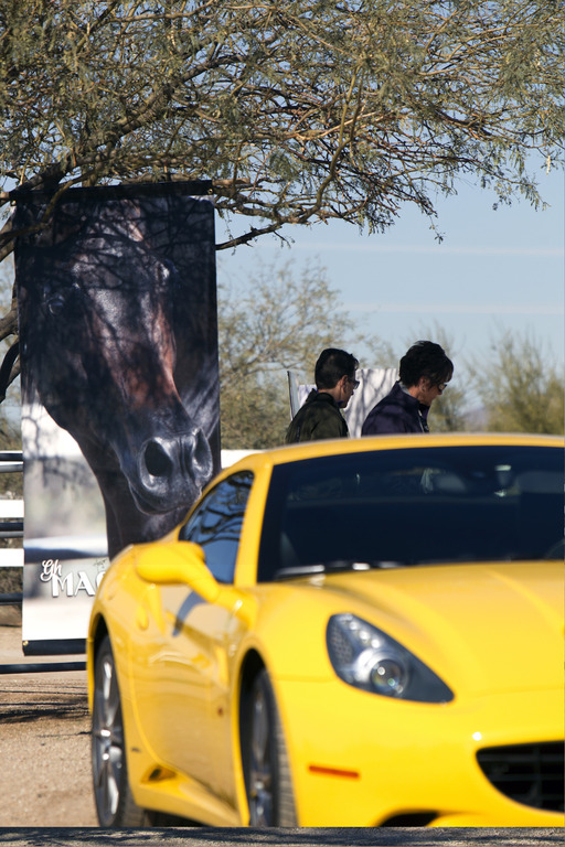 Laurie Martin Performance Horses - 8th Annual Farm Tour