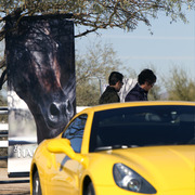 Laurie Martin Performance Horses - 8th Annual Farm Tour