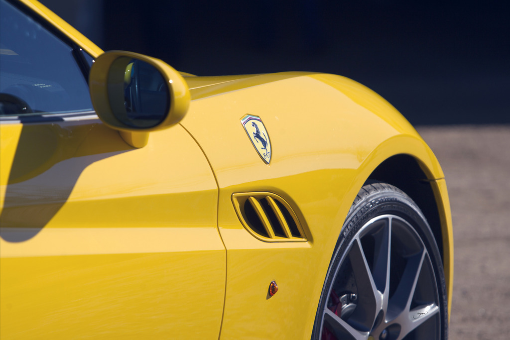 Laurie Martin Performance Horses - 8th Annual Farm Tour