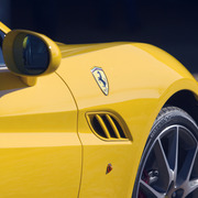 Laurie Martin Performance Horses - 8th Annual Farm Tour