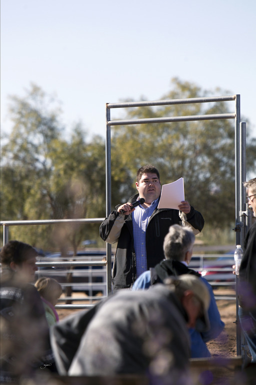 Laurie Martin Performance Horses 8th Annual Farm Tour Arabian