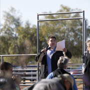 Laurie Martin Performance Horses - 8th Annual Farm Tour