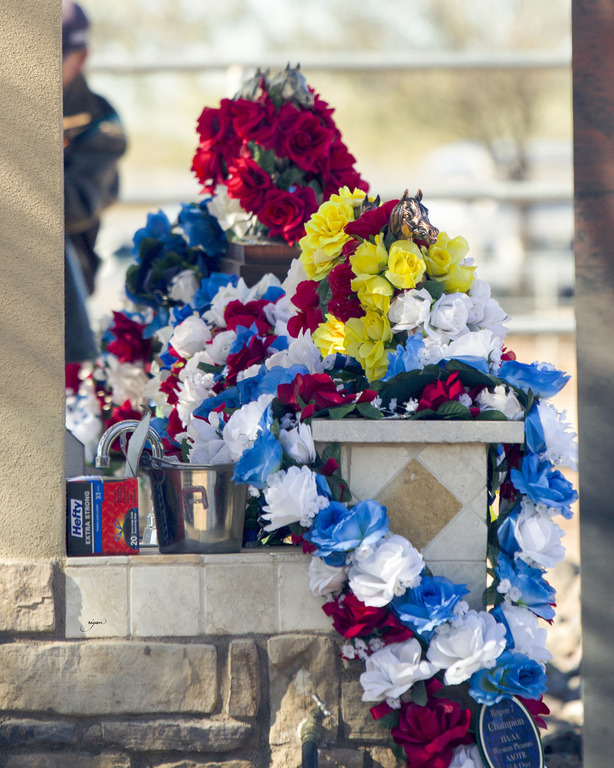 Laurie Martin Performance Horses - 8th Annual Farm Tour