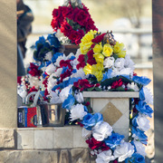 Laurie Martin Performance Horses - 8th Annual Farm Tour