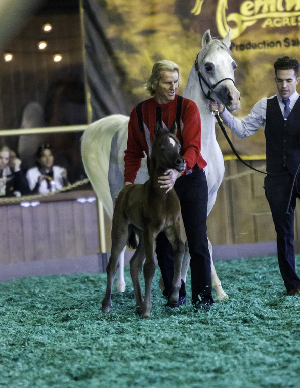 Gemini Acres - 8th Annual Farm Tour