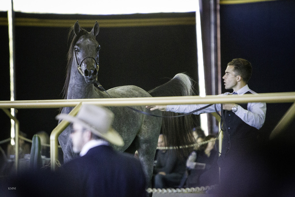 Gemini Acres - 8th Annual Farm Tour