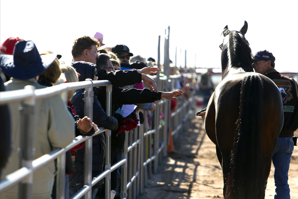 Laurie Martin Performance Horses - 8th Annual Farm Tour