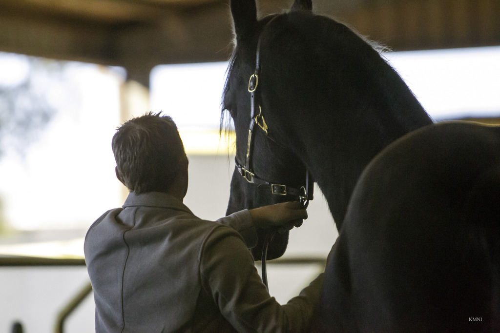 Gemini Acres - 8th Annual Farm Tour