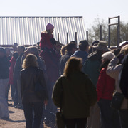 Laurie Martin Performance Horses - 8th Annual Farm Tour