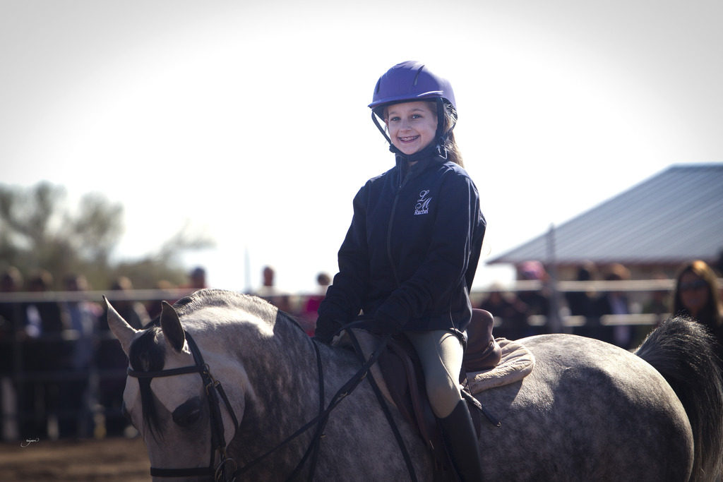 Laurie Martin Performance Horses 8th Annual Farm Tour Arabian