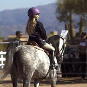 Laurie Martin Performance Horses - 8th Annual Farm Tour