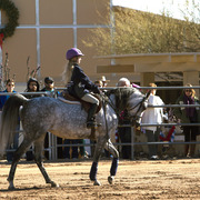 Laurie Martin Performance Horses - 8th Annual Farm Tour