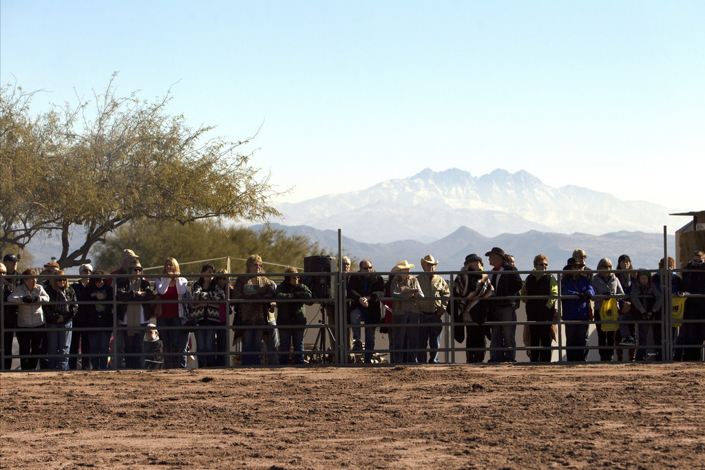 Laurie Martin Performance Horses - 8th Annual Farm Tour