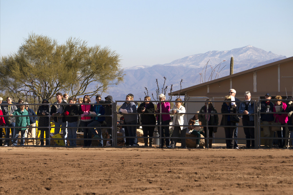 Laurie Martin Performance Horses - 8th Annual Farm Tour