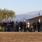 Laurie Martin Performance Horses - 8th Annual Farm Tour