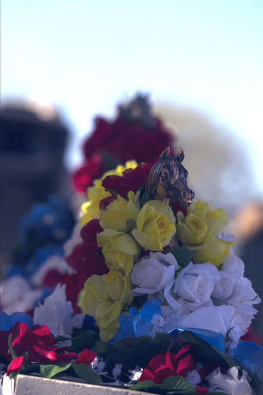 Laurie Martin Performance Horses - 8th Annual Farm Tour