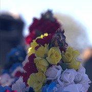 Laurie Martin Performance Horses - 8th Annual Farm Tour