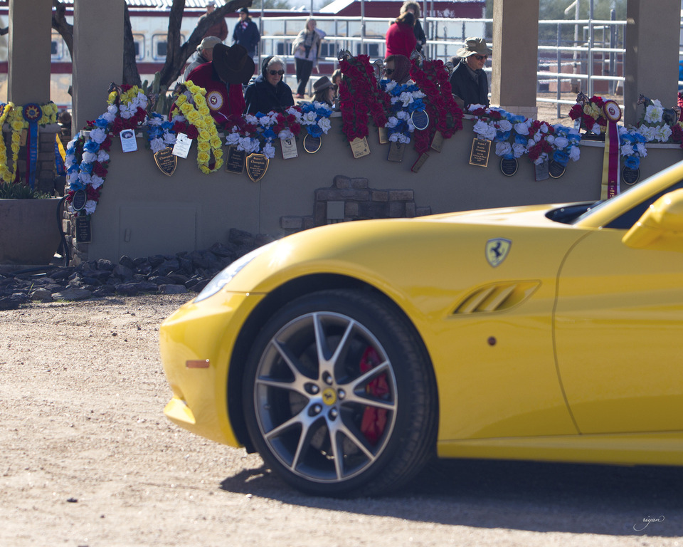 Laurie Martin Performance Horses - 8th Annual Farm Tour