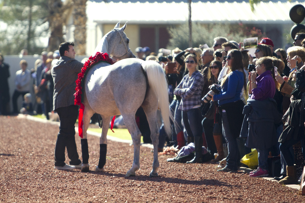 Midwest Training Center - 8th Annual Farm Tour