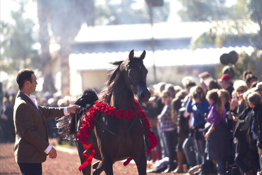 Midwest Training Center - 8th Annual Farm Tour