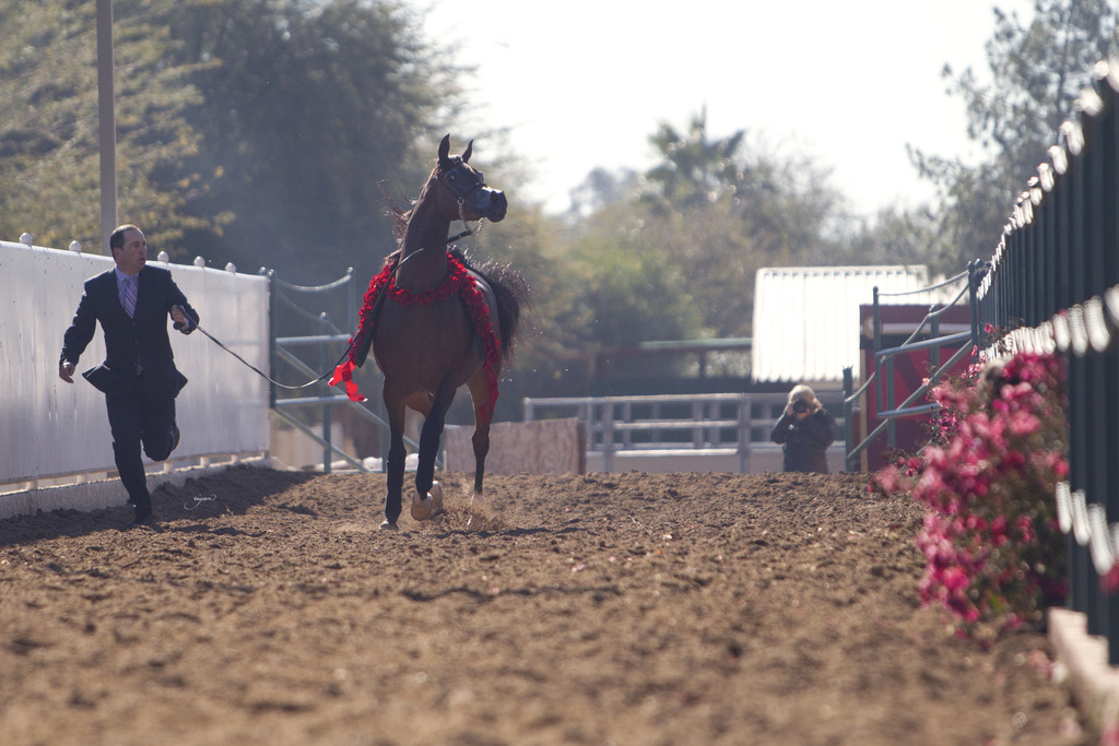 Midwest Training Center - 8th Annual Farm Tour