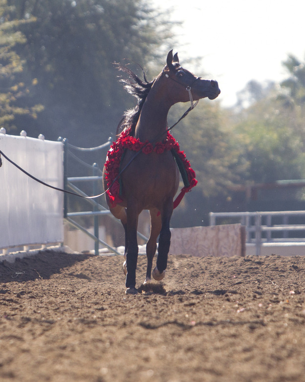 Midwest Training Center - 8th Annual Farm Tour