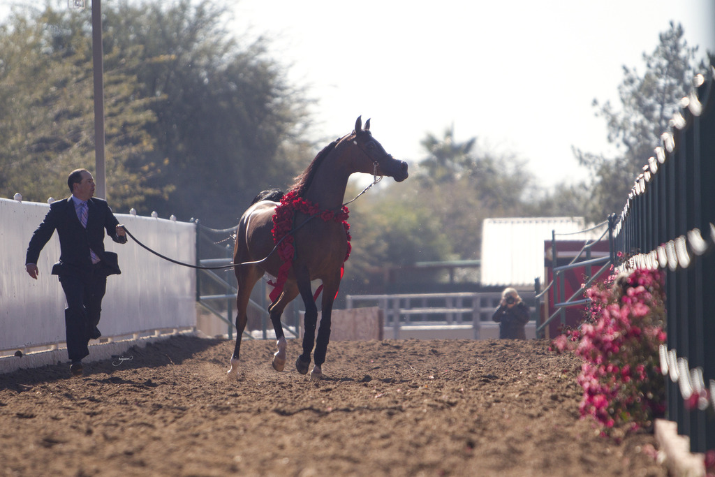 Midwest Training Center - 8th Annual Farm Tour