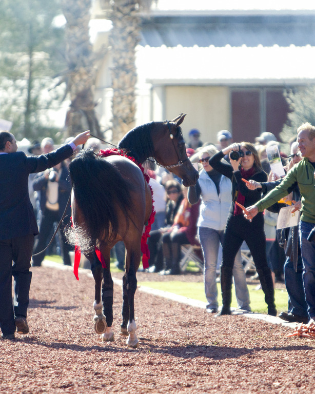 Midwest Training Center - 8th Annual Farm Tour