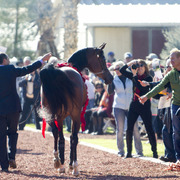 Midwest Training Center - 8th Annual Farm Tour
