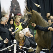 Rae Dawn Arabians - 8th Annual Farm Tour