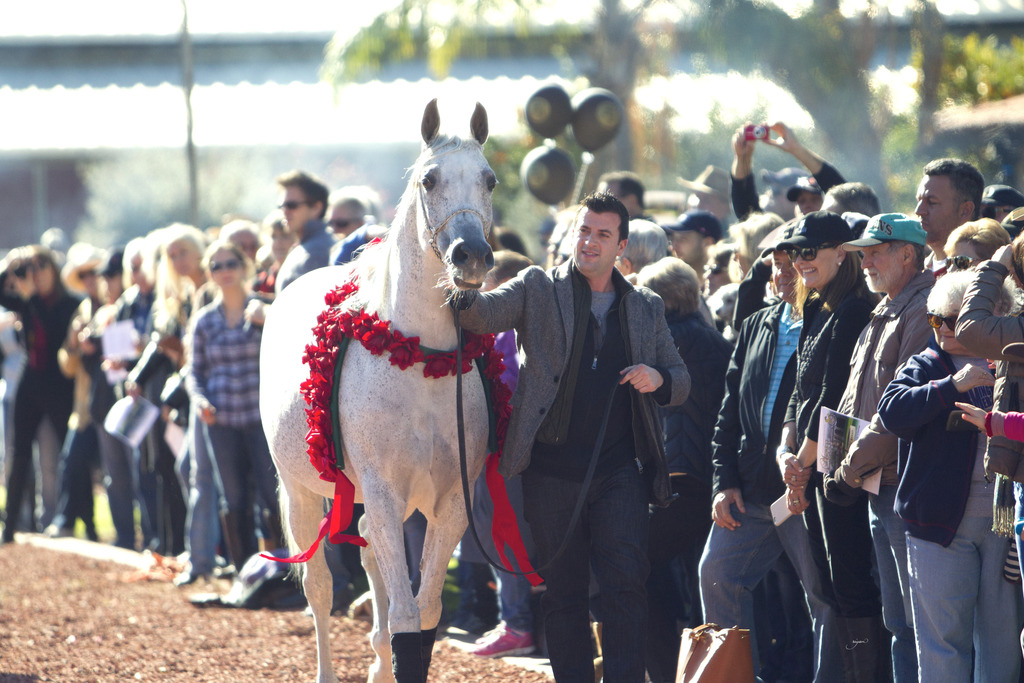 Midwest Training Center - 8th Annual Farm Tour