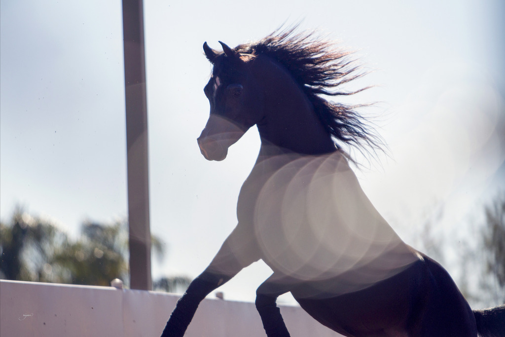 Midwest Training Center - 8th Annual Farm Tour