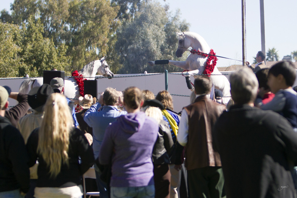 Midwest Training Center - 8th Annual Farm Tour