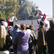 Midwest Training Center - 8th Annual Farm Tour