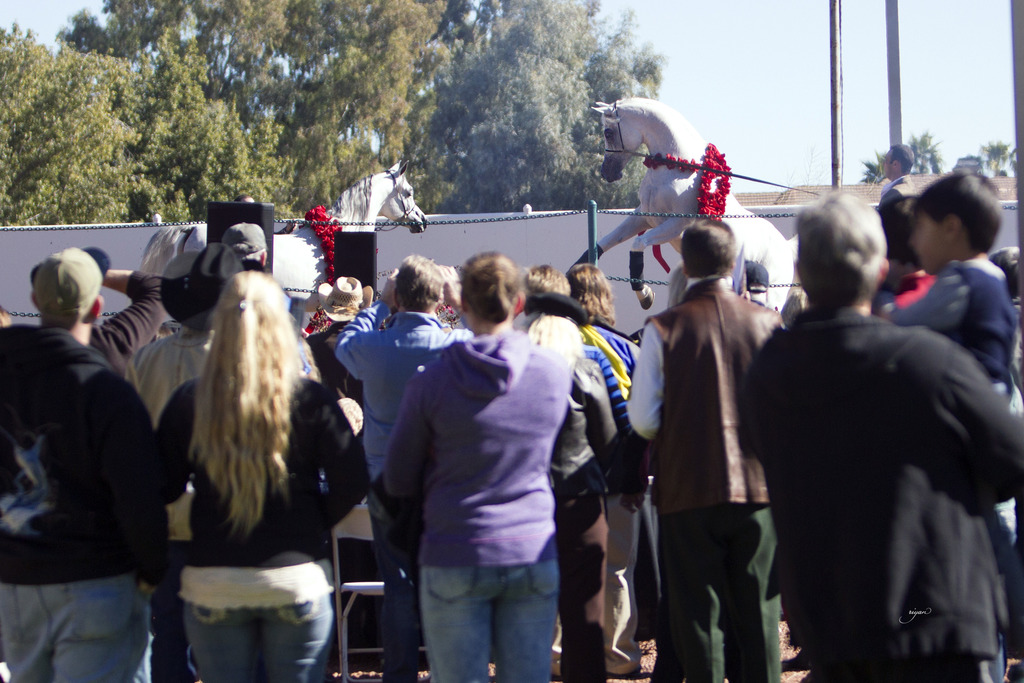 Midwest Training Center - 8th Annual Farm Tour